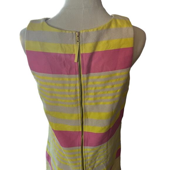 Ann Taylor Loft Corded Dobby Striped Sleeveless Shift Dress Barbiecore  Size 8 - Picture 5 of 8